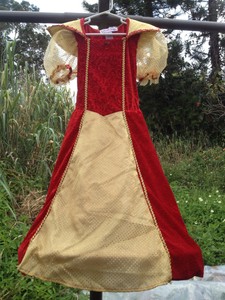 Girls M Princess Costume Dress Up Burn Out Red Velvet Gold Hoop Skirt Christmas Ebay
