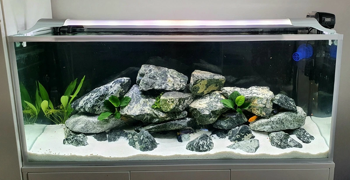 Fish Tank Stone Aquarium Rock Decoration Natural Ideal for Malawi GREEN ANGEL