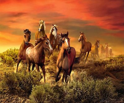 HORSES WILD SOUTHWEST H DESERT SCENE HOME DECOR COMPUTER MOUSE PAD 9 X 7 