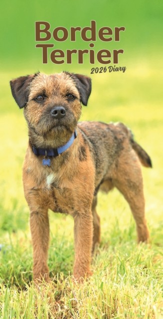 Border Terriers Slim Diary 2026 DIARY / JOURNAL 9781804608685