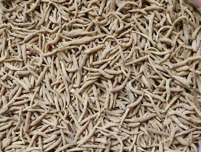 Tai Zi Shen, 太子参, 16oz/1Lb, Free shipping, US-Seller