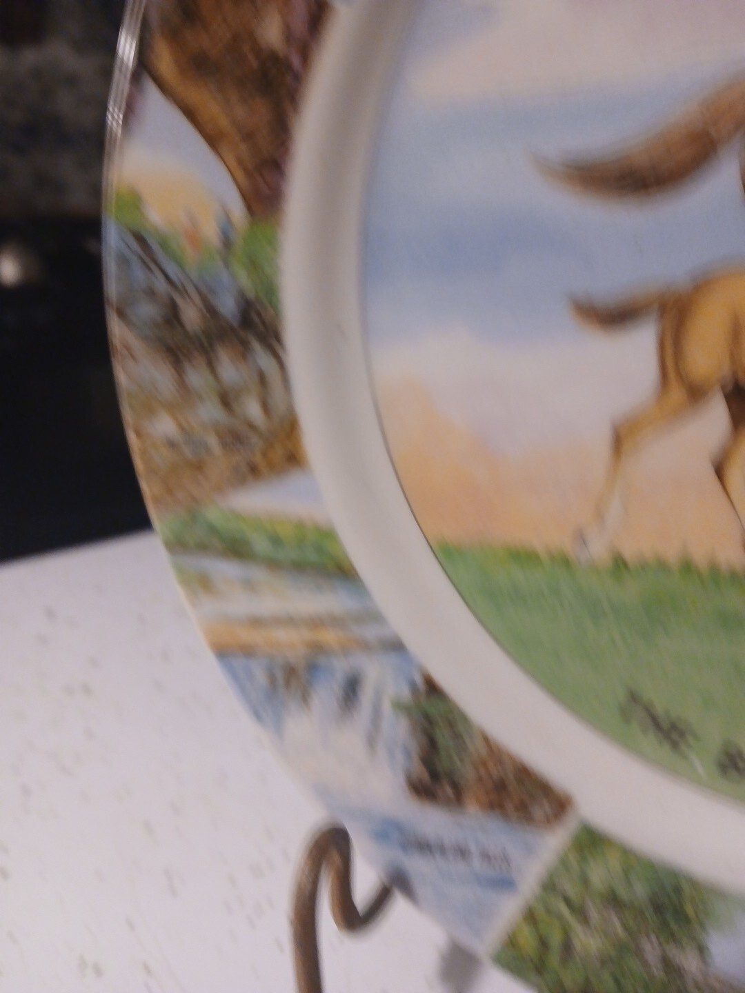 Vintage Souvenir  Kentucky The Blue Grass State Plate Ebrink Japan With Holder