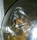 Bild 8 von 12