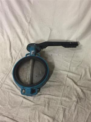 InterApp D10300.23 1AR.4A.4CO.EW   12''  Desponia Butterfly Valve