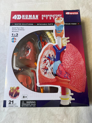 TEDCO 4D Master Human Anatomy Respiratory System Model 1:3 Scale - 21 Pieces
