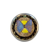 Taxidermy Wall Art | Bubble Glass Gem Rocks - Morphos Nymphalidae Vintage Brazi