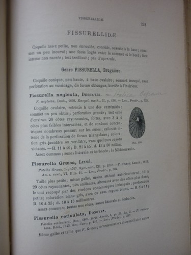 COQUILLAGE Locard Arnould: Les coquilles marines des cotes de France 1892 - Bild 7 von 8