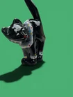 fenton glass cats figurine