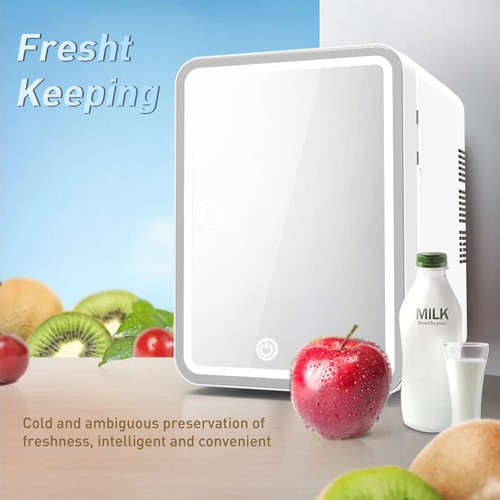 4L Fridge With Mirror Portable Cooler Warmer Refrigerator for Makeup Car Travel - Picture 11 of 25