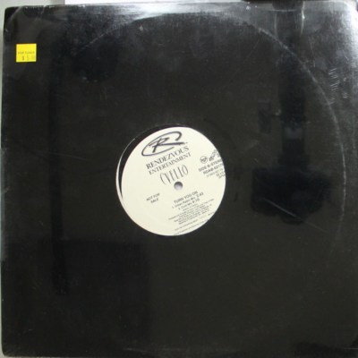 Soul Sealed 12  Promo Lp Cvello Turn You On On Rca