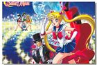 Sailor Moon Tuxedo Mask Japan Anime Boy Room Wall Print Poster 20x30