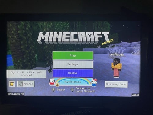 Minecraft Nintendo Switch Games Cartridge Only Tested Working Next Day Ship