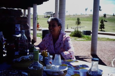 c1970's 35mm Slide Woman Picnic Coca Cola Sauza Tequila Outdoor Park Bird Roof