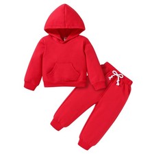 Baby Fall Outfits for Girl Boy Long Sleeve Hoodie Top and Long Sweatpants Set...