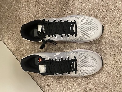 Size 14 - Nike Air Zoom Pegasus 34 Pure Platinum