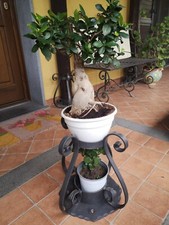 PORTAVASI IN FERRO BATTUTO ARTIGIANALE FORGIATO A MANO CON FORI DI ANCORAGGIO