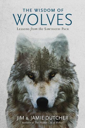 Thumbnail - Jim Dutcher Jamie Dutcher The Wisdom Of Wolves (gebundene Ausgabe)