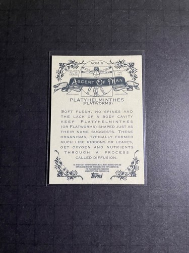 2011 Topps Allen & Ginter’s Base / Inserts / Mini / SP - U Pick (Buy More Save) - Picture 204 of 256
