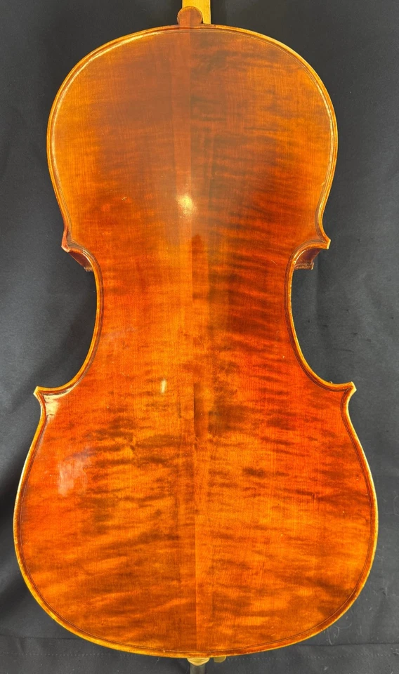 Violonchelo Segue Concertino Plus con bolsa acolchada, tamaño 1/2, 2011 Foto 4 de 4