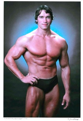 Arnold Schwarzenegger  actor, politician and former bodybuilder 8.5x11