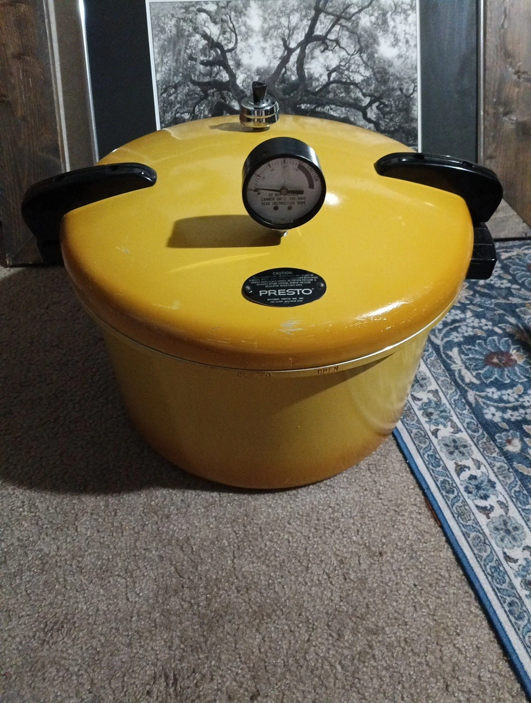 Rare Presto Pressure Cooker Canner 409A 16-Quart Harvest Gold Yellow Vintage USA
Opens in a new wind