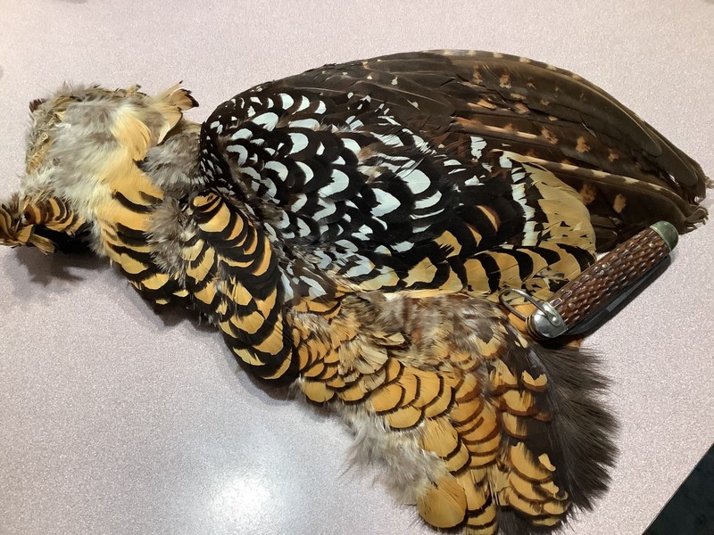 A nice Rare Reeves Pheasant 1/2 skin...a good buy for sure