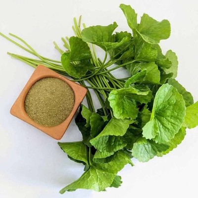 50+ Gotu Kola Pegagan Super Seedss (Centella asiatica) For Planting