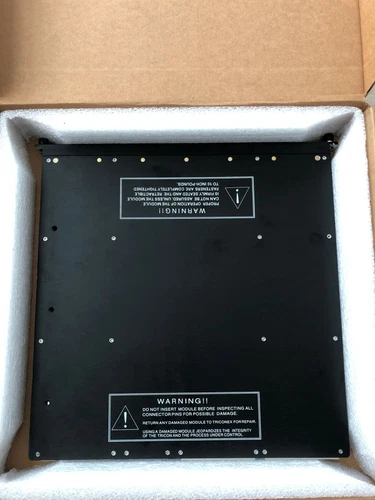 TRICONEX 4200N