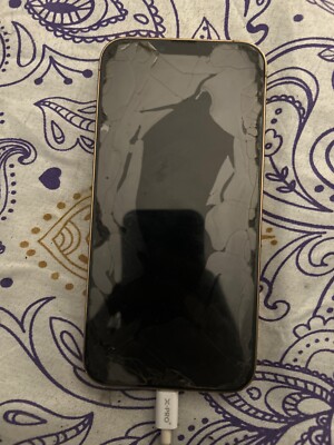 Apple iPhone 13 Pro Max - 256 GB - Gold (AT&T) WITH TIK TOK INSTALLED