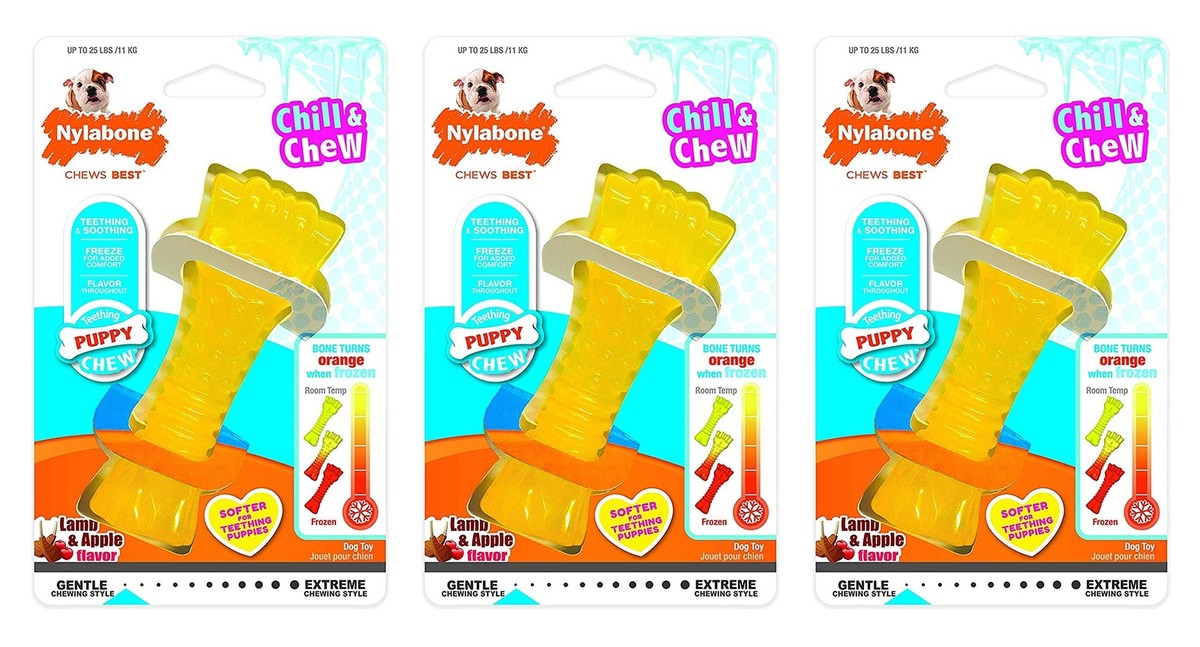 Nylabone Pack of Chill and Chew Bones, Regular, Frozen Puppy