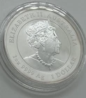 Photo of a 2023-P Australian Silver Lunar 1 oz from an eBay listing that sold on Jun 3, 2026