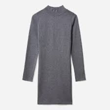 Everlane Cotton Mockneck Dress Gray XS Long Sleeve A-Line EUC Minimalist 