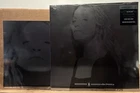 Madonna Veronica Electronica SILVER LP w/ Lithographh Ray Of Light Frozen Skin