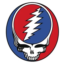 Grateful Dead ‘Steal Your Face’ Style Vinyl Sticker | UV Printed | 2–18 in