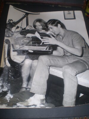 Sozialgeschichte 60er Jahre Sängerin Georgie Ruhm Blick auf Vogelfoto im Käfig 12/ 