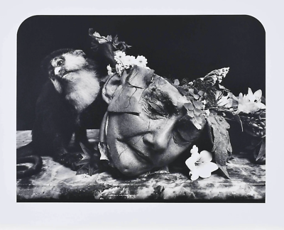稀少 Joel-Peter Witkin: Forty Photographs SODL Joel- Peter Witkin. 40 Photographs. Printed 1985