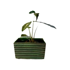 Vintage 1950s MCM Green Ridged Pattern Rectangle Planter Vase USA Signed