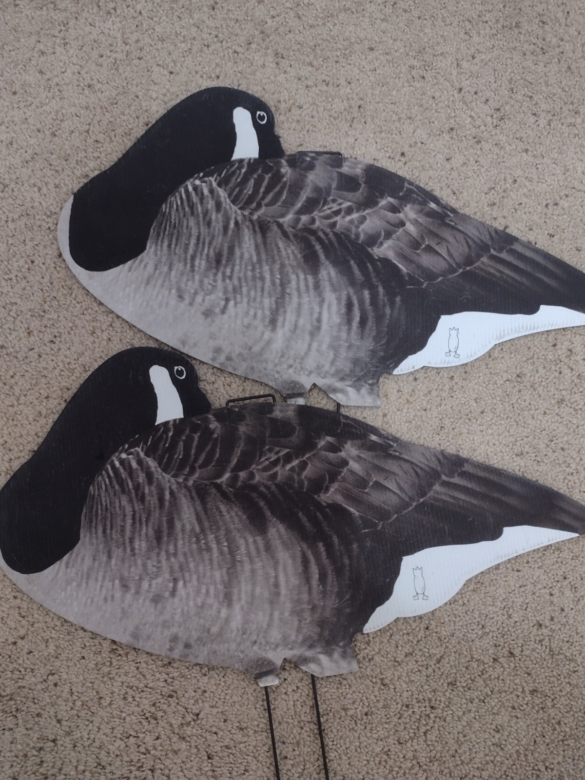 divebomb canada goose silhouettes thumbnail 2