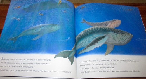 SAILING HOME - Colin Thompson & Matt Ottley. 1st Ed sc RARE! HERE in MELB - Picture 13 of 21
