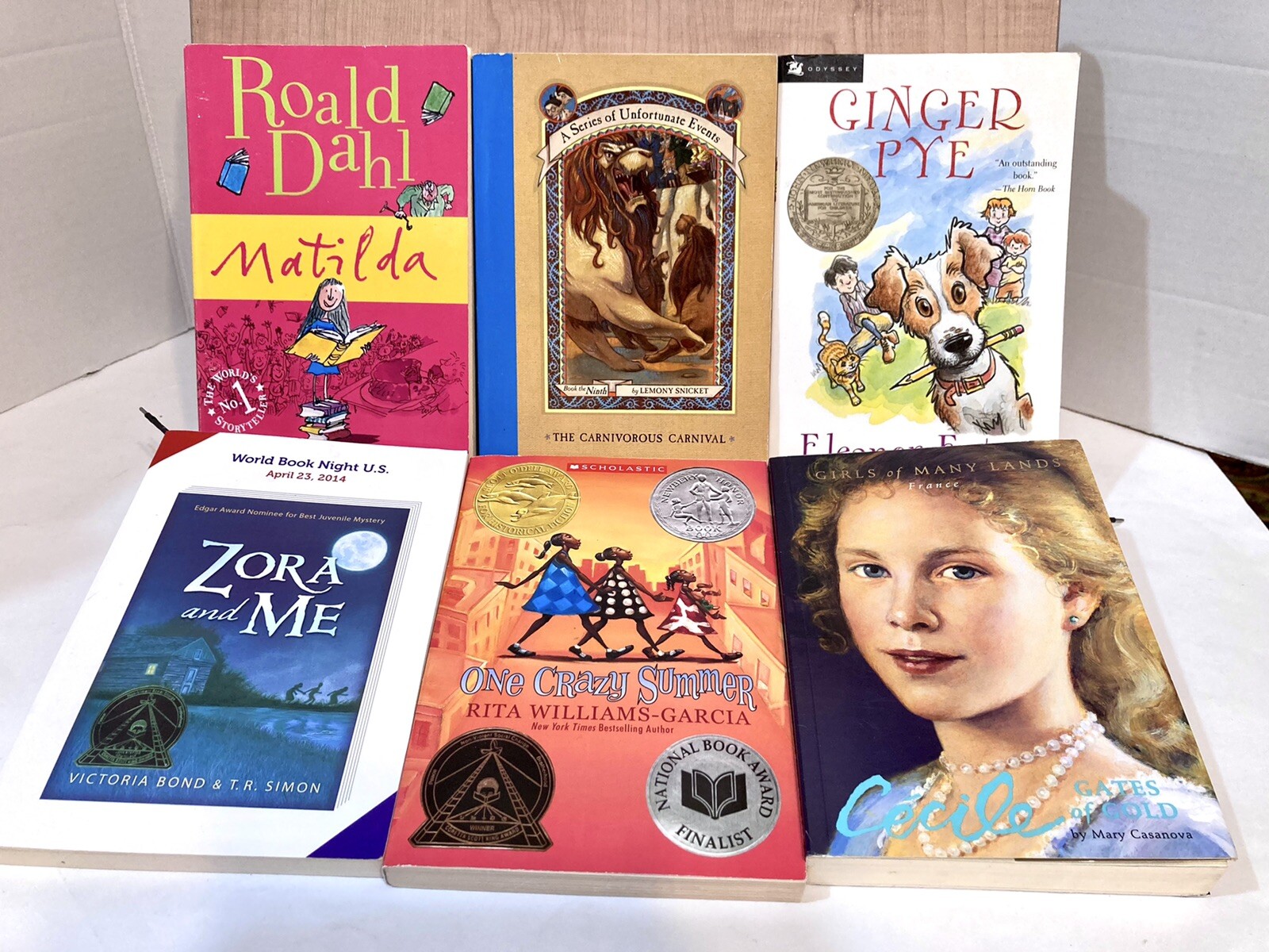 Lot of 6 Children's Chapter Books for Girls Youth Early Reader Young ...