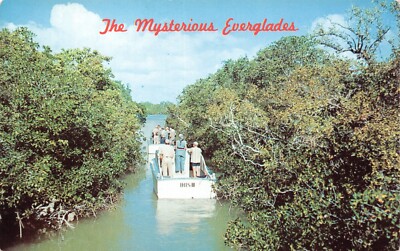Ibis III Audubon Boat Tour Thru The Mysterious Everglades FL Vtg Postcard CP409