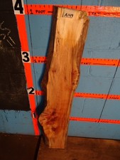 A149 1 3/4" THICK spalted Maple Live Edge Slab shelf table bench wood