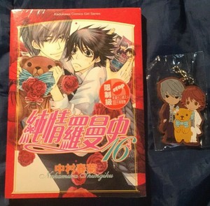 Junjou Romantica Manga Vol 16 In Chinese 純情羅曼史中文耽美漫畫by 中村春菊nakamura Shungiku Ebay