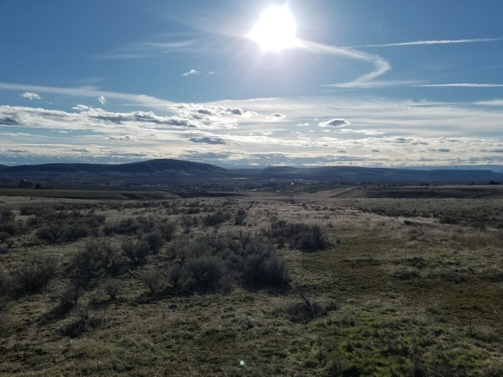 (14 acres) Vacant Land For Sale In Yakima County (Moxee, WA). 22,000