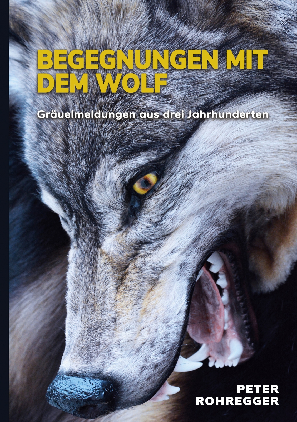 Thumbnail - Begegnungen Mit Dem Wolf (buch)