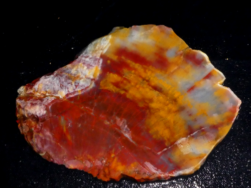 Versteinerte Holzplatte - 6 3/8" x 4 3/4" - grob - lapidare Verkabelung - Display - Bild 2 von 3