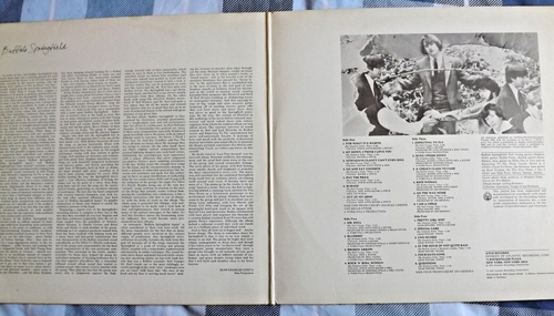 BUFFALO SPRINGFIELD Gatefold 2XLP - Picture 3 of 6