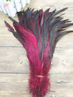 Bild 12 von 22