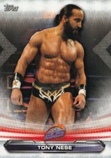 2019 WWE 205 Live Tony Nese #89