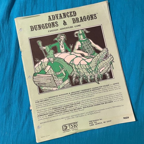 1981 Advanced Dungeons and Dragons Fantasy Adventure Game Character Folder #9029 - Picture 1 of 3